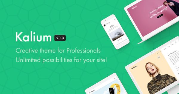  Kalium – Creative Multipurpose WP Theme